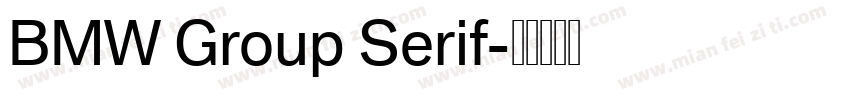 BMW Group Serif字体转换